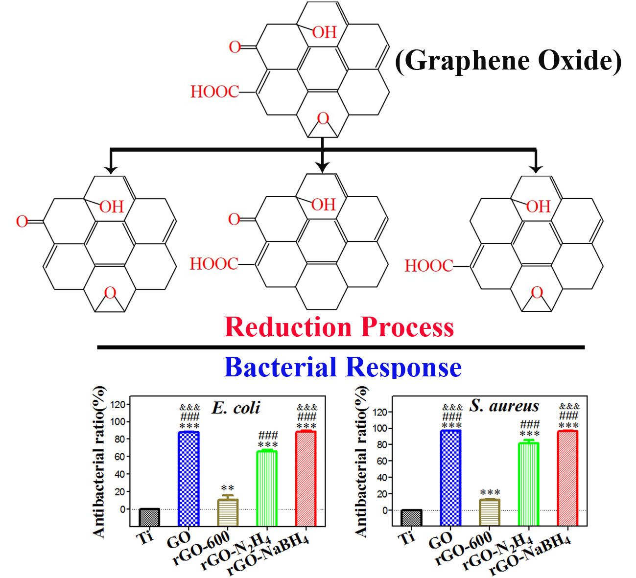 石墨烯含氧官能团种类对其抗菌性能的影响