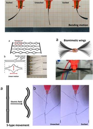 苏州纳米所仿生驱动研究取得进展