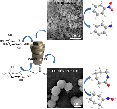 水热法从生物质制备表面富集含氧功能基团的高效碳催化剂取得新进展