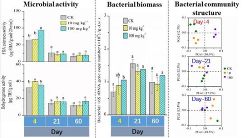 南京土壤所在石墨烯的土壤生态效应研究方面取得进展