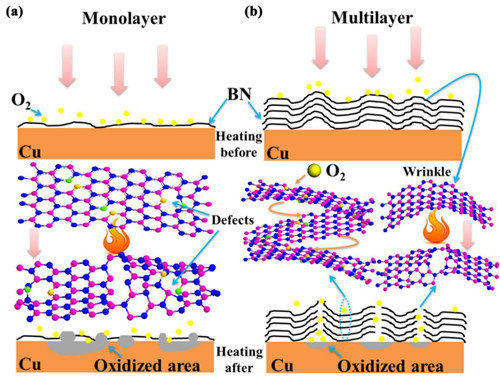 宁波材料所在二维纳米防护薄膜材料方面取得研究进展