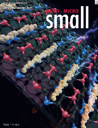 石墨烯的精细结构研究取得进展