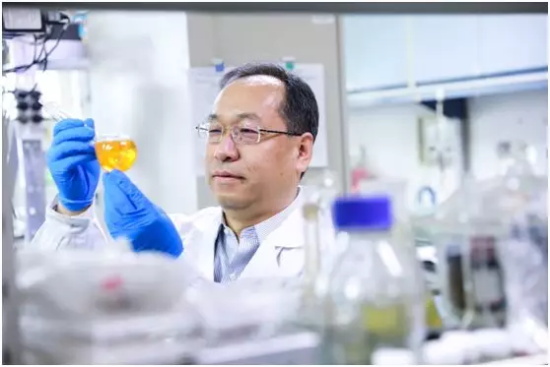 北京大学张锦院士：做科研最重要的就是坚持