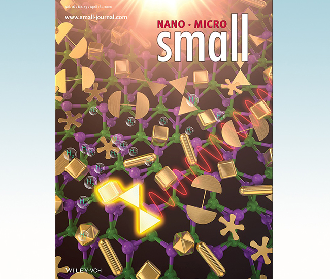 《微尺度》（Small）出版清华大学微纳材料研究专刊