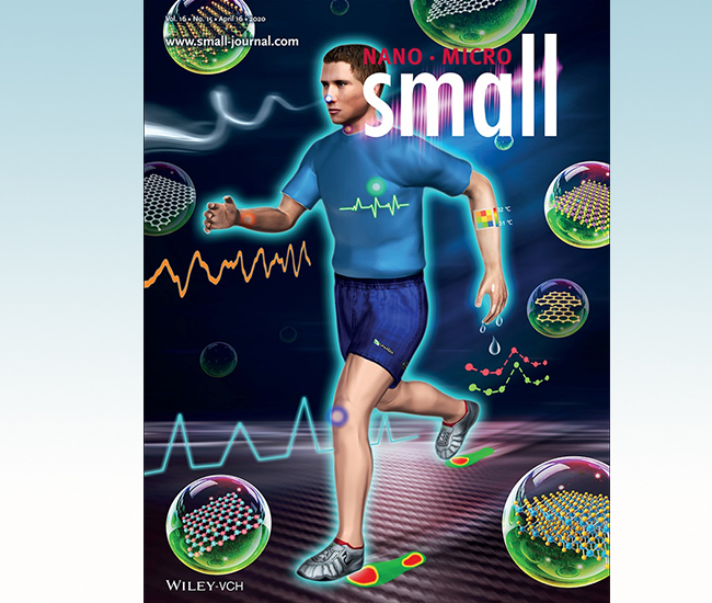 《微尺度》（Small）出版清华大学微纳材料研究专刊