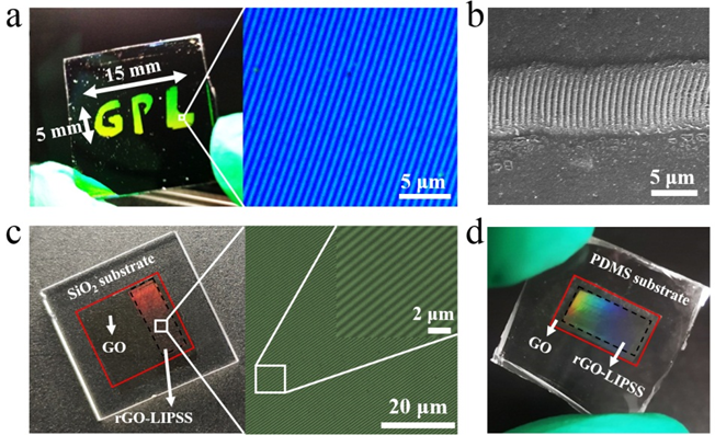 长春光机所光子实验室在利用飞秒激光微纳加工石墨烯材料方面的研究获得新进展