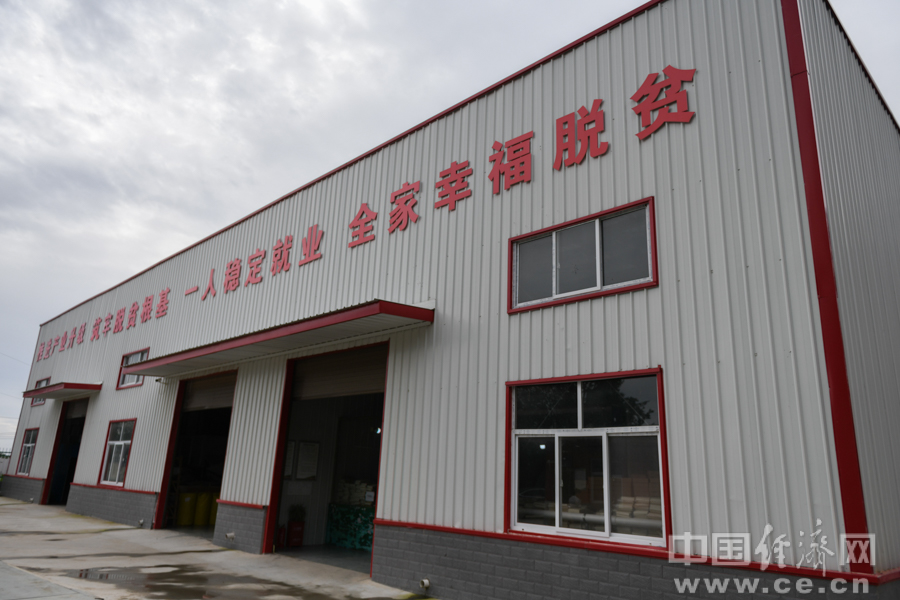 【决战决胜脱贫攻坚】陕西耀州：“艾”在照金 “金草”丰收