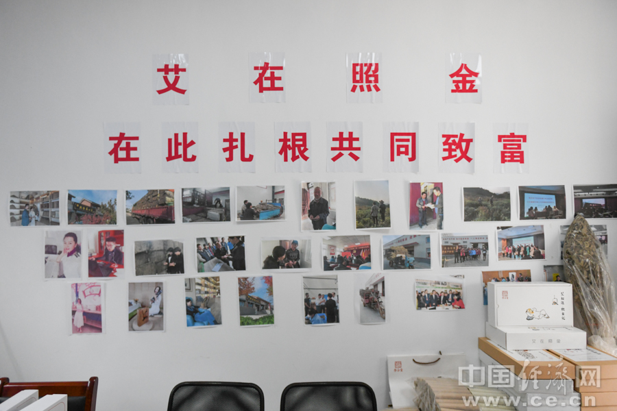 【决战决胜脱贫攻坚】陕西耀州：“艾”在照金 “金草”丰收