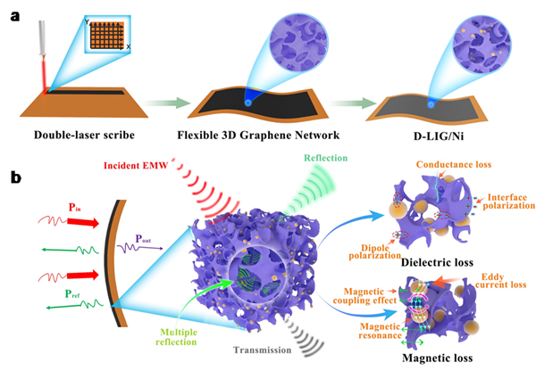 王振洋团队制备出高效石墨烯基电磁波屏蔽材料