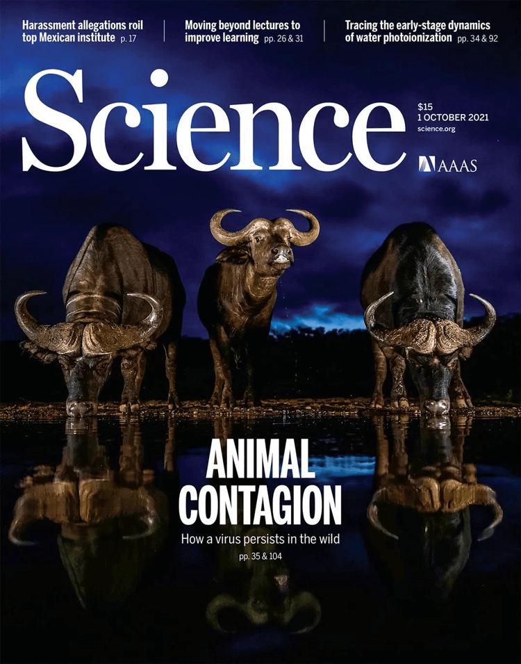 《Science》刊发北航化学学院程群峰教授课题组最新成果