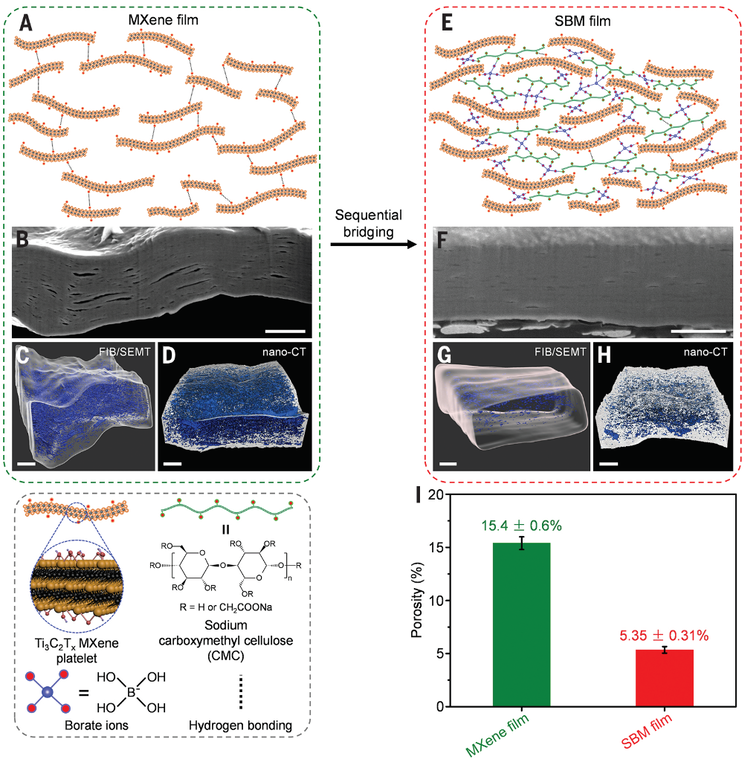 《Science》刊发北航化学学院程群峰教授课题组最新成果
