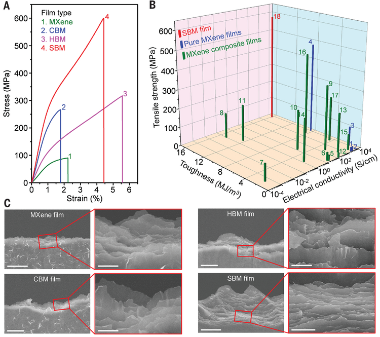 《Science》刊发北航化学学院程群峰教授课题组最新成果