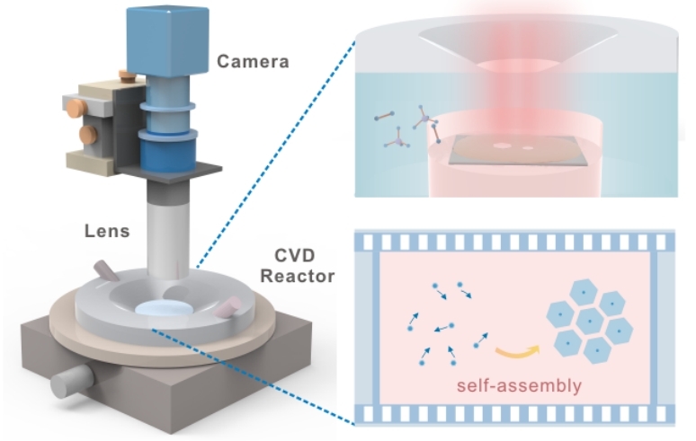 看！石墨烯的“集体舞”