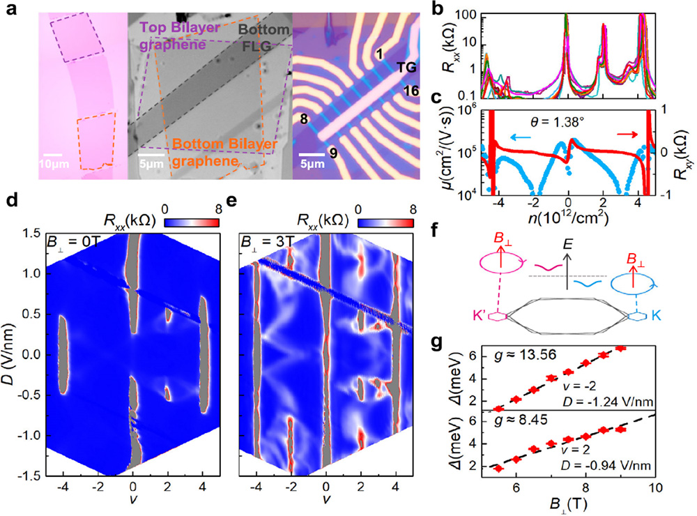转角石墨烯（2+2）中赝自旋的竞争和谷极化关联绝缘态的发现