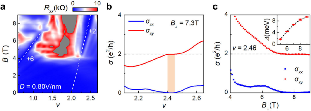 转角石墨烯（2+2）中赝自旋的竞争和谷极化关联绝缘态的发现