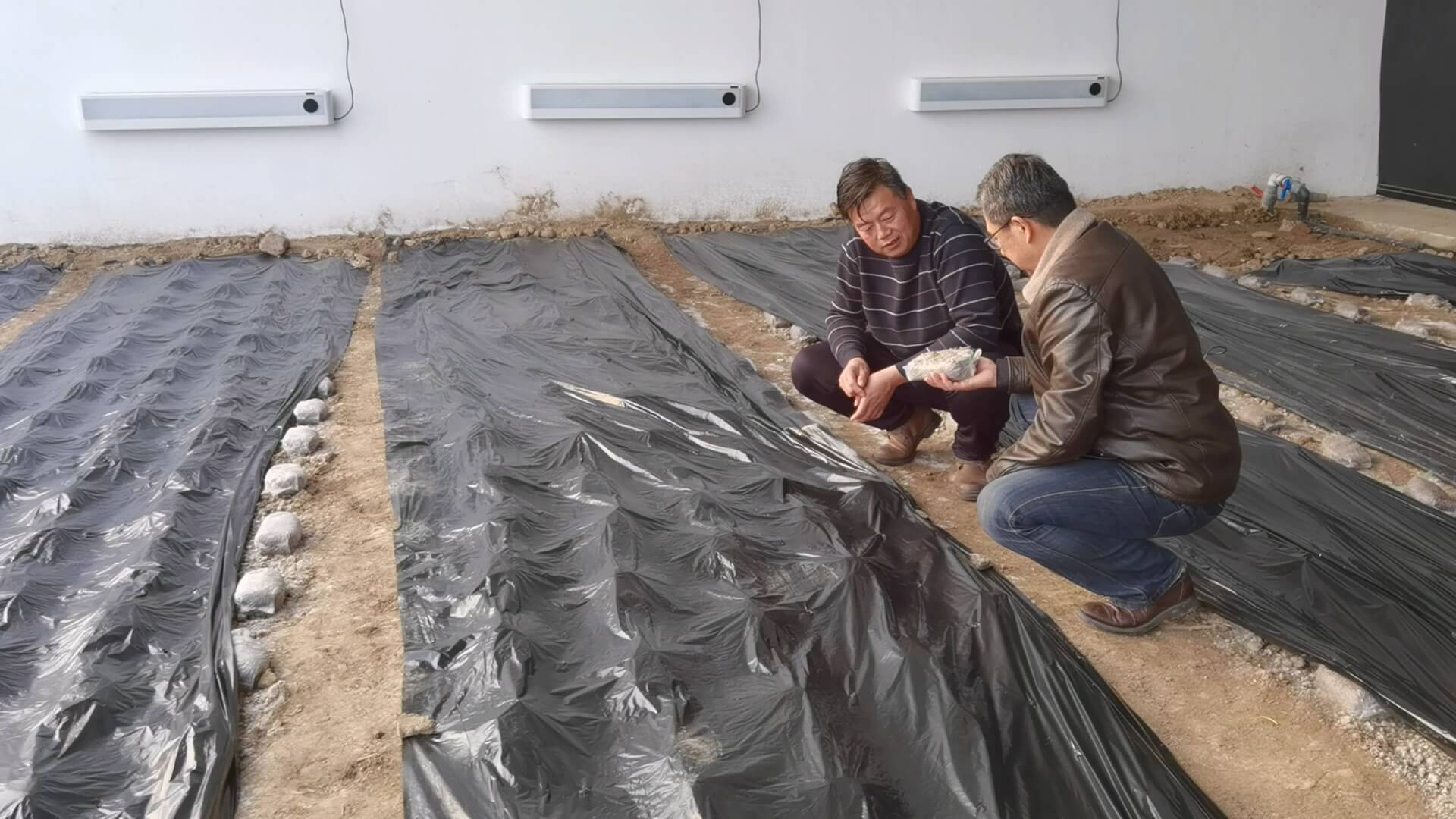 玛纳斯县玛纳斯镇上二工村：发展特色产业 为乡村振兴再添新动力