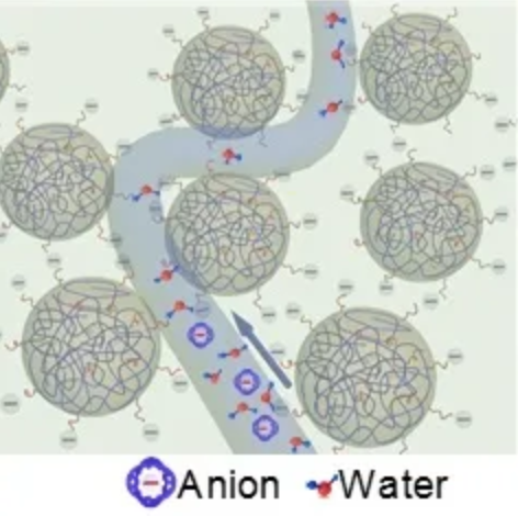 探索·收获！环境学院张炜铭/潘丙才课题组在氧化石墨烯膜限域分离策略及其水处理应用方面取得新进展