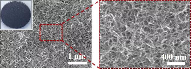 Carbon：高耐用性自组装碳纳米管纳米多孔涂层强化沸腾传热
