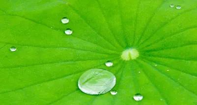 “万物的仲裁者”，今天你用的什么“尺”？