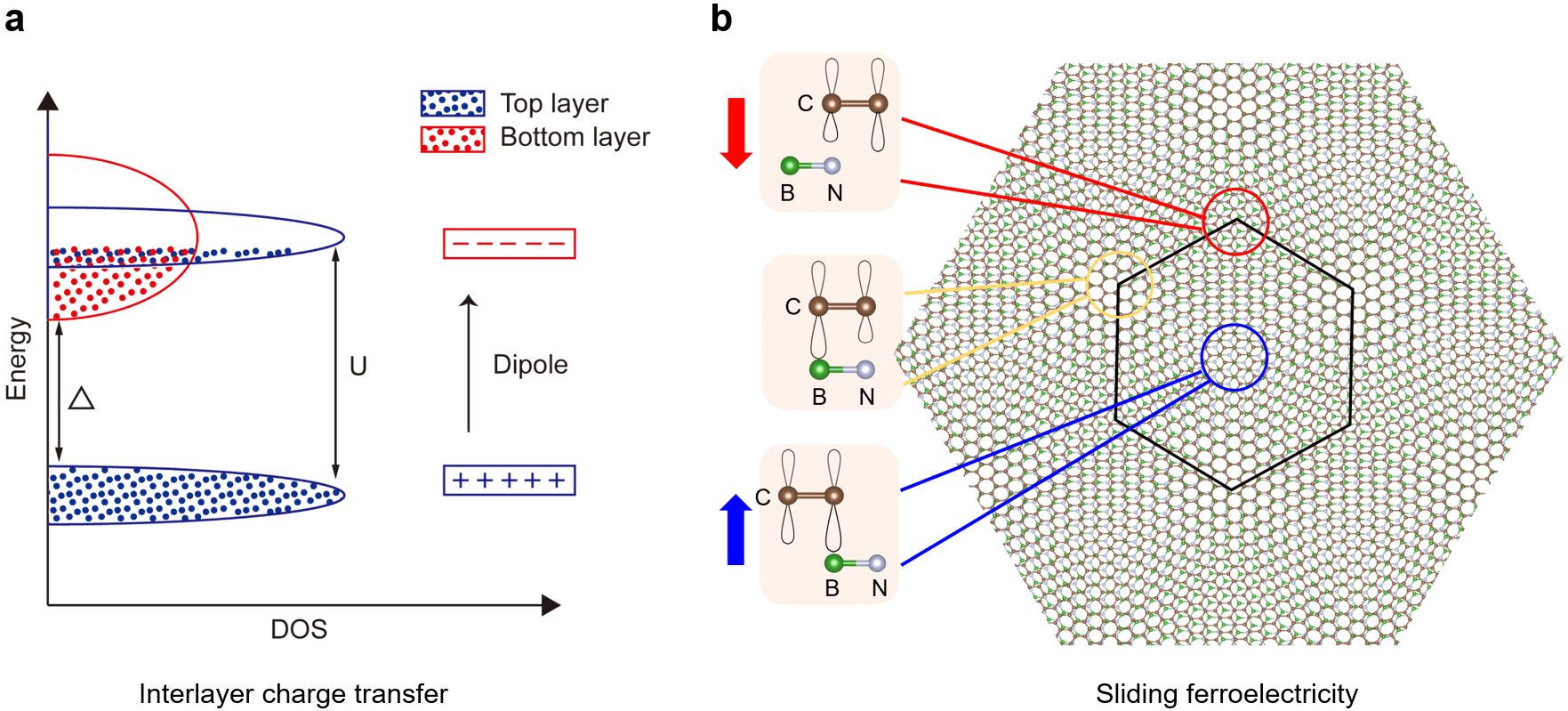 路建明课题组发现石墨烯氮化硼异质结中的铁电极化