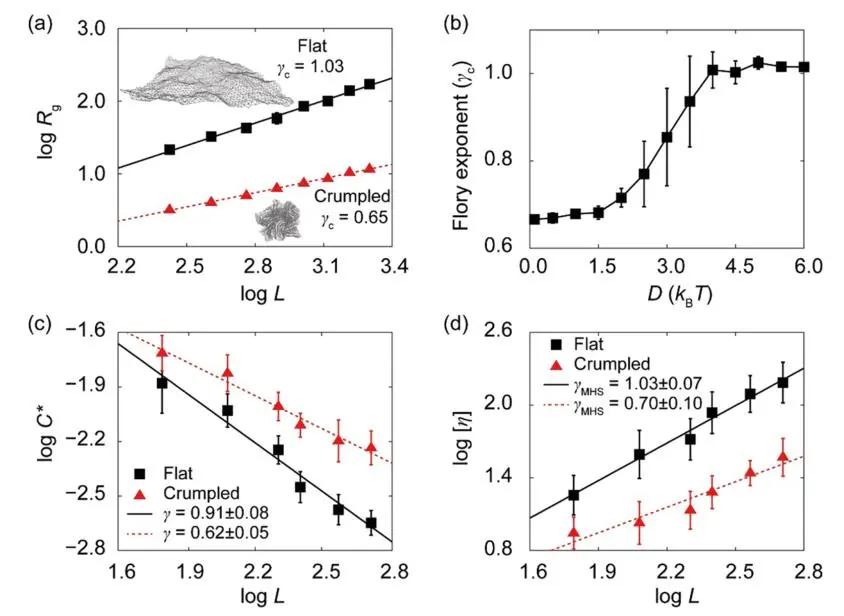 浙大许震与清华徐志平合作：二维大分子溶液构象标度关系的测量与验证