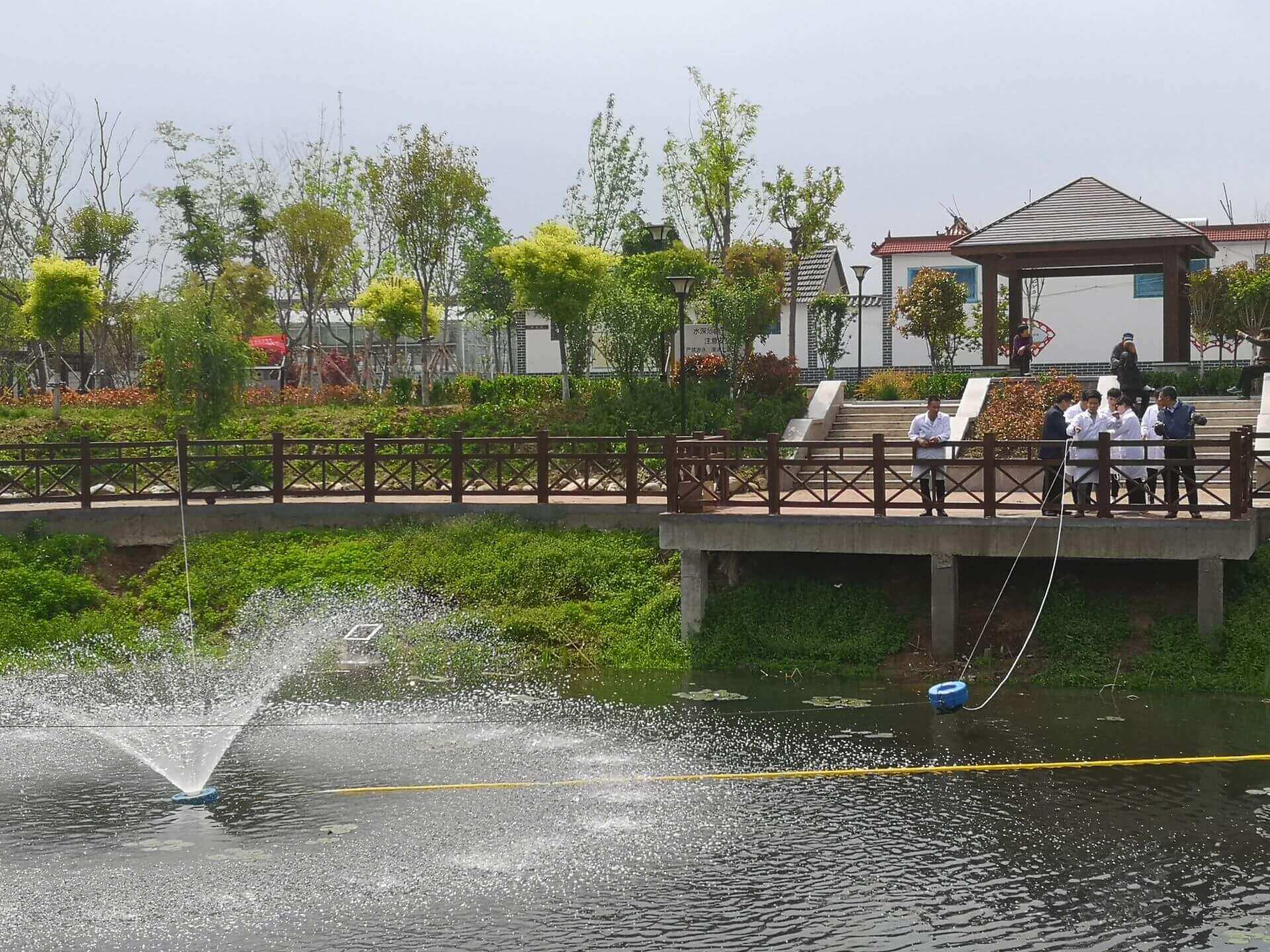 还你一池清水！石墨烯水环境治理与生态修复首个工程落地高新区
