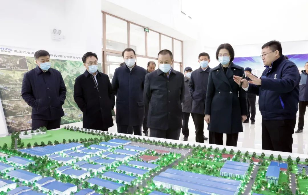 中国建材集团来鸡西考察调研 副省长沈莹一同调研