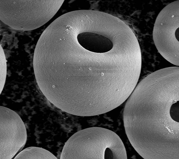神奇 石墨烯科技赋予物体超级“免疫力”