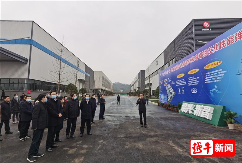 新昌县项目展示  美力科技先进复合材料汽车零部件制造产业园
