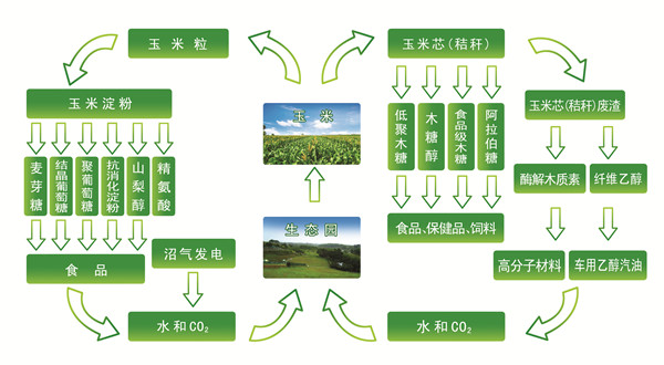 龙力生物参股公司拟建石墨烯中试生产线