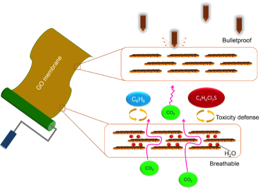 石墨烯渗透膜材料的最新研究进展：结构，传质机制及潜在应用