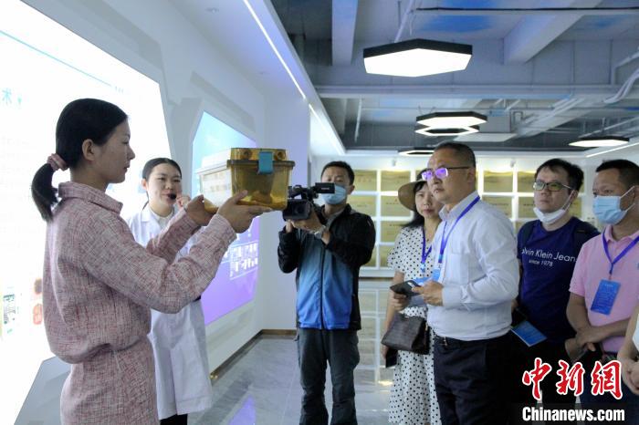 图为，5月29日，2021海外华文媒体齐鲁行采访团在济南侨资企业参观、采访。　孙宏瑗 摄