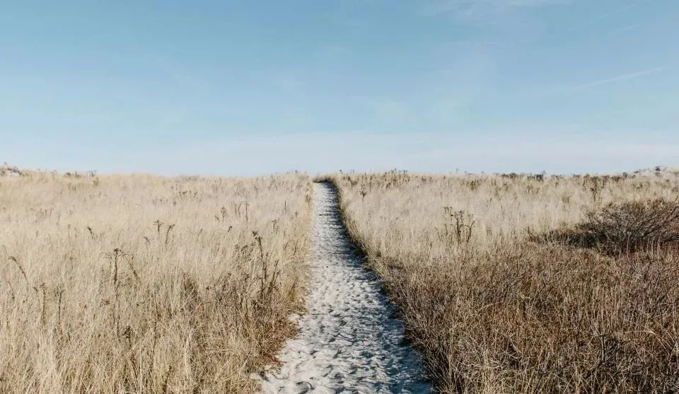 量子健康家电被曝光，下一个伪科技又会是谁?