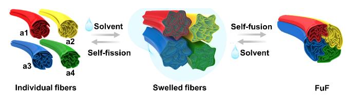 涂上氧化石墨烯 普通纤维也能72变