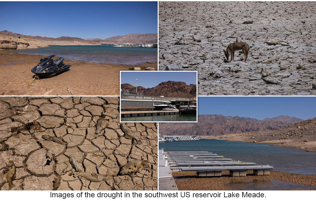 原始石墨烯片可以用于水净化吗？