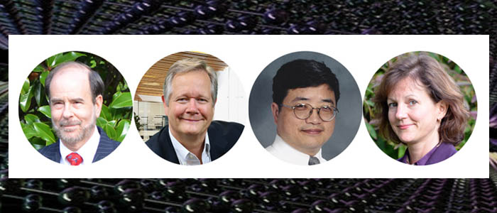 认识Avadain团队！