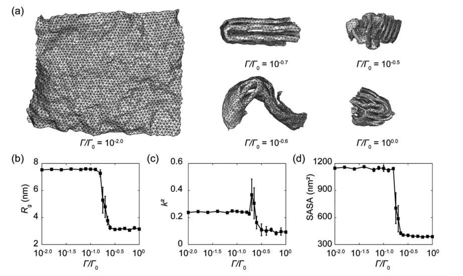 浙大许震与清华徐志平合作：二维大分子溶液构象标度关系的测量与验证