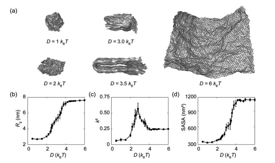 浙大许震与清华徐志平合作：二维大分子溶液构象标度关系的测量与验证