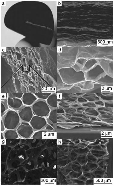 戴贵平教授：三维石墨烯与氮沉积碳纳米管复合材料的制备