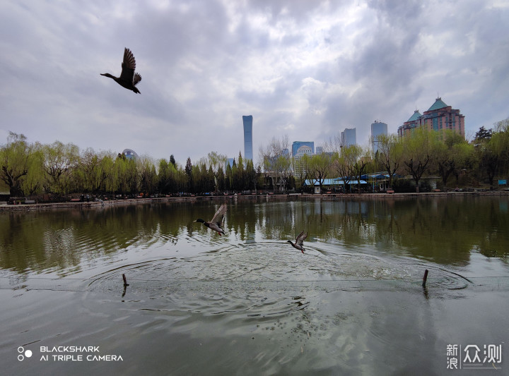 黑鲨5是游戏手机？外观精致拍照强，不太一样_新浪众测