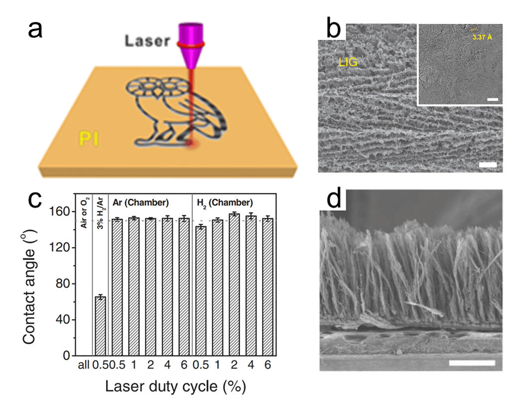 综述：激光诱导石墨烯在智能传感方向的应用