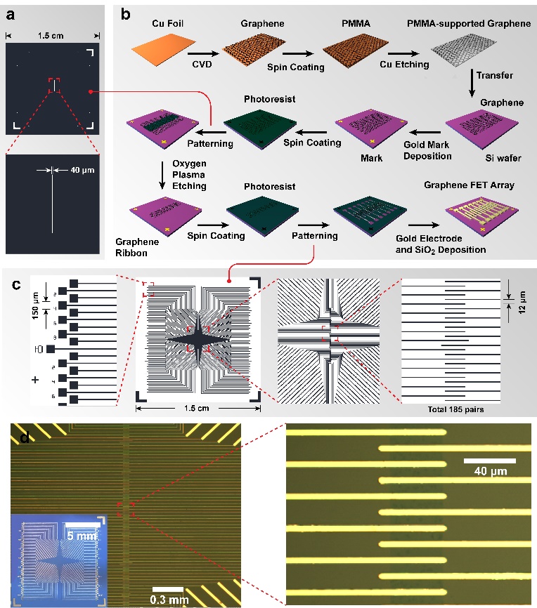 郭雪峰课题组报道单分子芯片制备实验流程