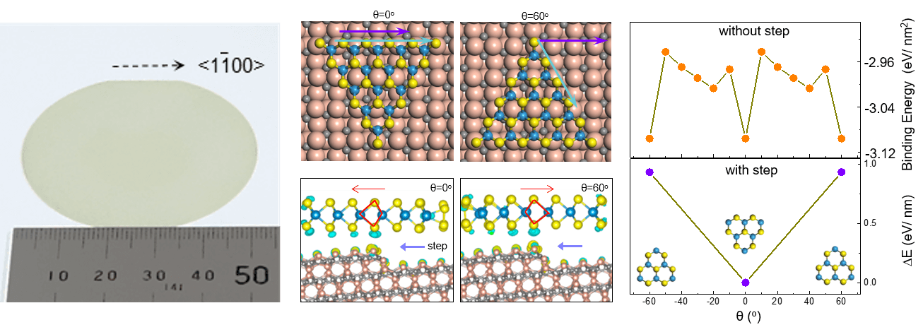 物理学院刘开辉教授课题组在绝缘衬底上晶圆级二维单晶制备新机理研究中取得重要进展