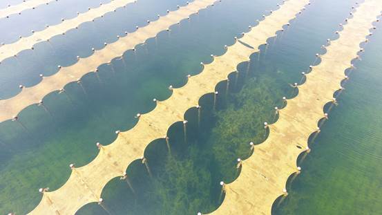 我国光催化技术提升饮用水源地水质工程应用研究获突破