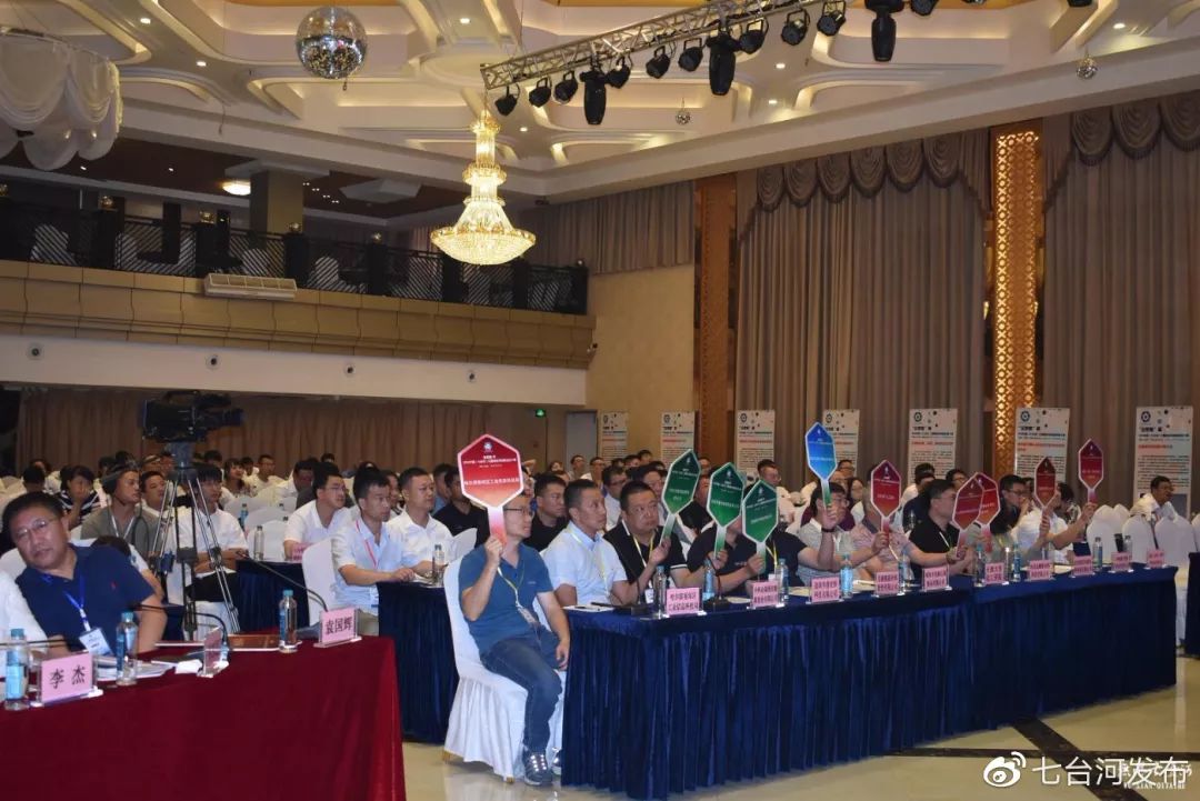 2019中国七台河石墨烯应用创新创业大赛暨石墨产业发展高端研讨会启幕