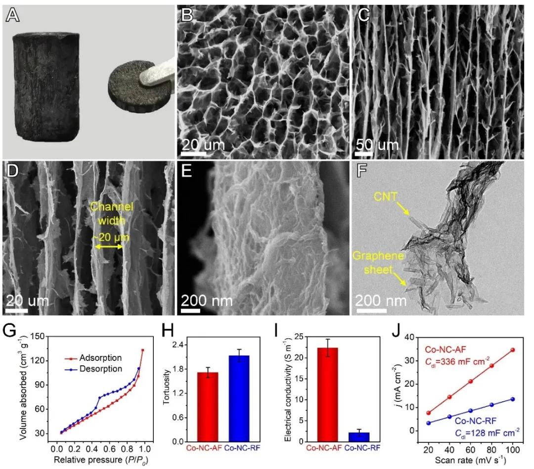 湖南大学费慧龙教授团队在石墨烯负载单原子电催化剂取得重要进展