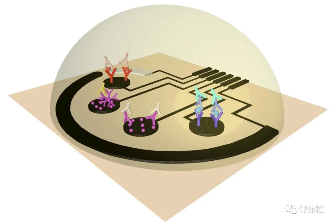 加州理工研发石墨烯传感器，10分钟检验新冠病毒