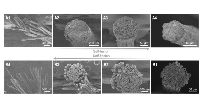 涂上氧化石墨烯 普通纤维也能72变