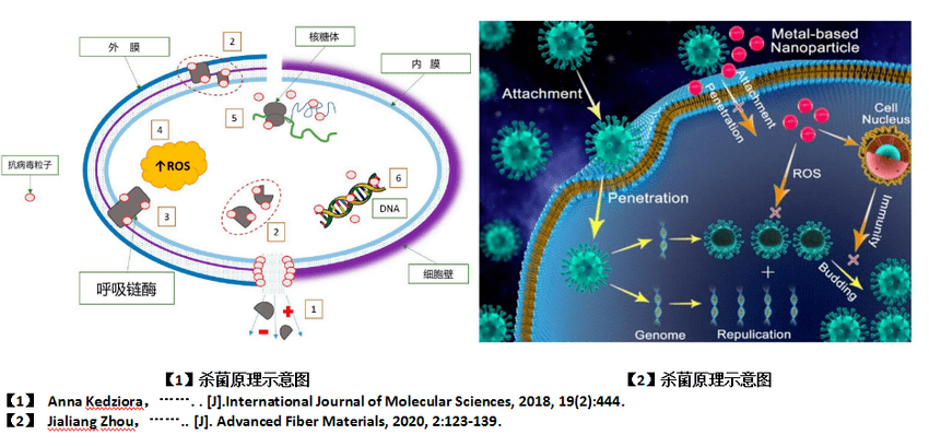 神奇 石墨烯科技赋予物体超级“免疫力”