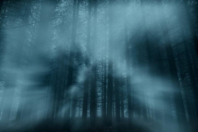 比扇贝跑了更离谱：金发科技70亿口罩订单凭空消失，谁被算计？